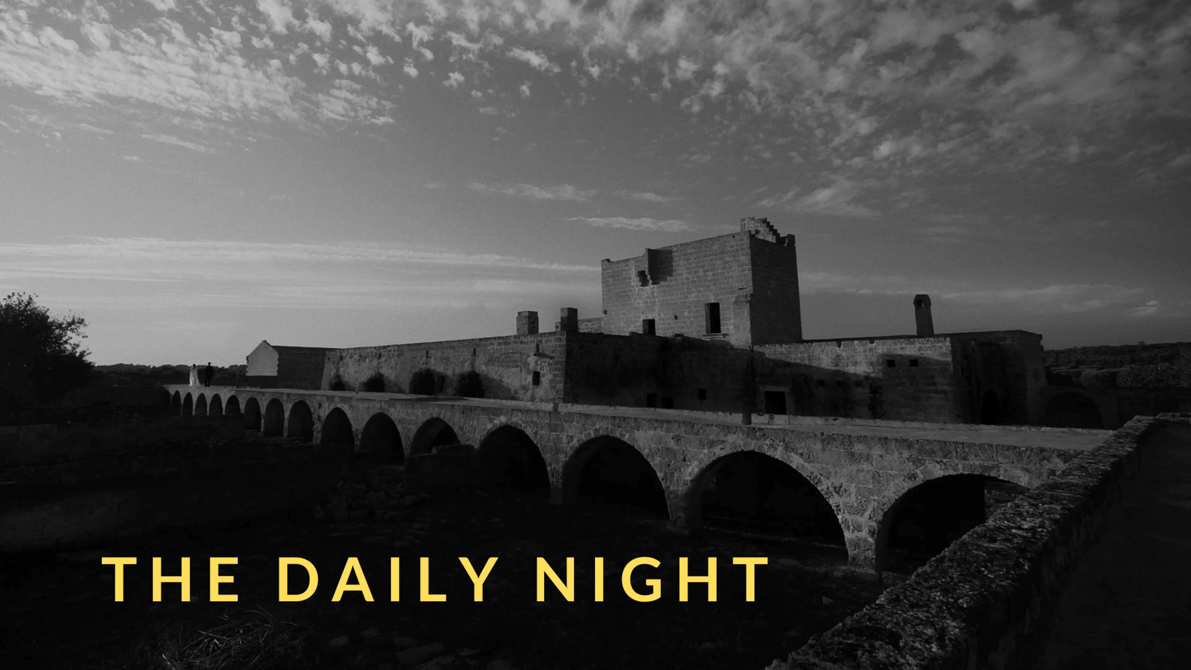 The Daily Night poster